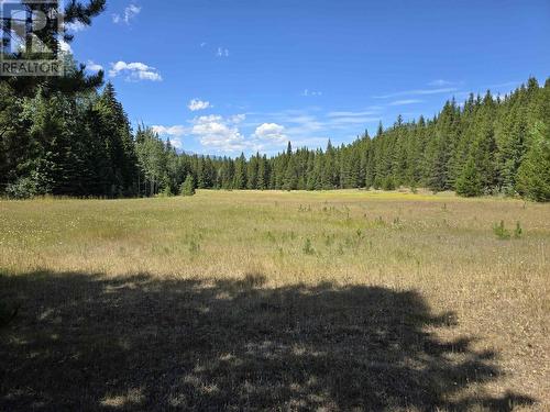 200 Whiskeyfill Road, Valemount, BC - Outdoor With View