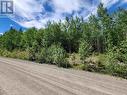 Lot 10 Purser Creek Road, Quesnel, BC 