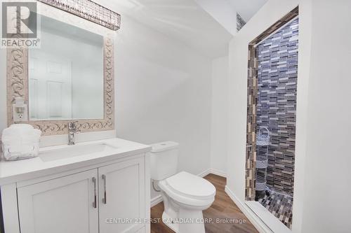 Lower Level 3-pc bath With Walk-in Shower - 207 Union Avenue, Middlesex Centre, ON - Indoor Photo Showing Bathroom