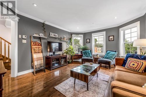 117 Hayward Avenue, St. John'S, NL - Indoor Photo Showing Living Room