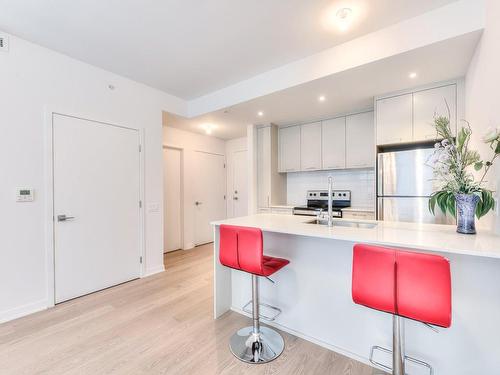 Cuisine - 333-1485 Rue Des Bassins, Montréal (Le Sud-Ouest), QC - Indoor Photo Showing Kitchen With Double Sink