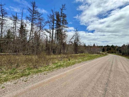 Lot(S) Joseph Macfarlane Drive, Whycocomagh Bay, NS 