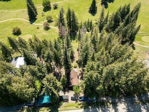 7730 Columbia Drive, Anglemont, BC - Outdoor With View