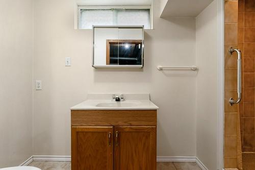 3 pc bath on lower level - 119 Woodman Drive N, Hamilton, ON - Indoor Photo Showing Bathroom