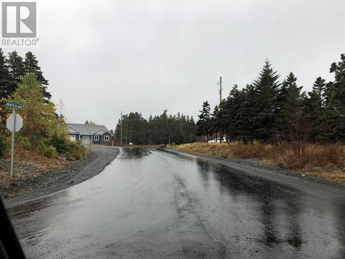 3 Kent Place, Clarkes Beach, NL 