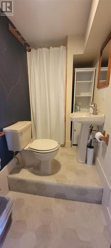 415 Main Road, Lewin'S Cove, NL - Indoor Photo Showing Bathroom