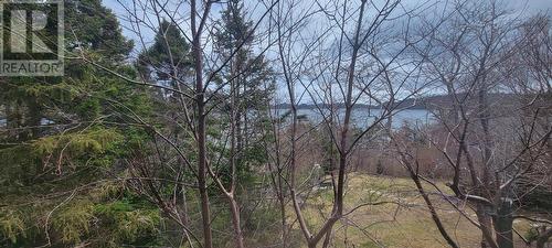 415 Main Road, Lewin'S Cove, NL - Outdoor With View