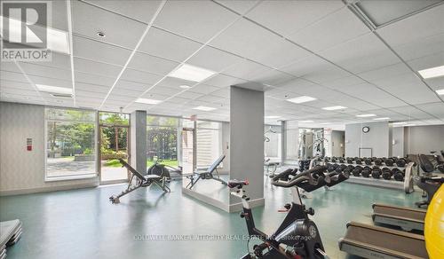 401 - 88 Palace Pier Court, Toronto, ON - Indoor Photo Showing Gym Room