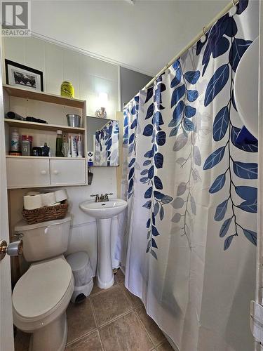 17 Rosedale Street, Corner Brook, NL - Indoor Photo Showing Bathroom