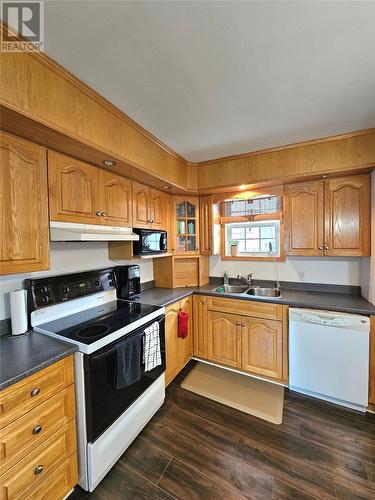 17 Rosedale Street, Corner Brook, NL - Indoor Photo Showing Kitchen With Double Sink