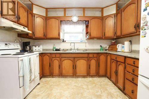 34 Wellington St E, Sault Ste. Marie, ON - Indoor Photo Showing Kitchen With Double Sink