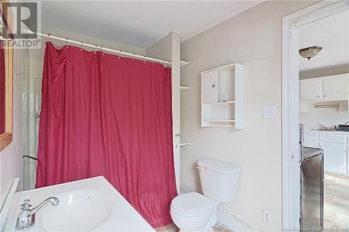 58 Summit Drive, Minto, NB - Indoor Photo Showing Bathroom