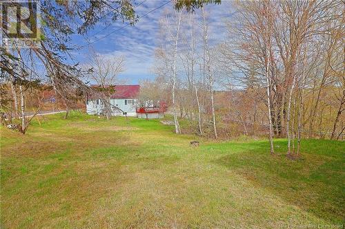 58 Summit Drive, Minto, NB - Outdoor With View