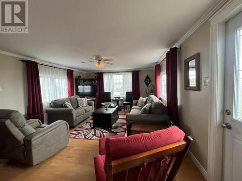 33 Boar Point Hill Road, Hearts Delight, NL - Indoor Photo Showing Living Room