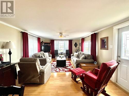 33 Boar Point Hill Road, Hearts Delight, NL - Indoor Photo Showing Living Room