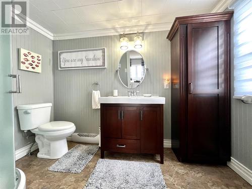 33 Boar Point Hill Road, Hearts Delight, NL - Indoor Photo Showing Bathroom