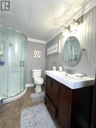 33 Boar Point Hill Road, Hearts Delight, NL - Indoor Photo Showing Bathroom