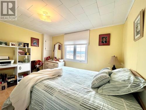 33 Boar Point Hill Road, Hearts Delight, NL - Indoor Photo Showing Bedroom