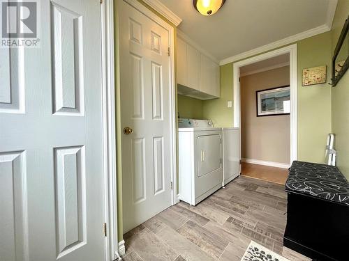 33 Boar Point Hill Road, Hearts Delight, NL - Indoor Photo Showing Laundry Room