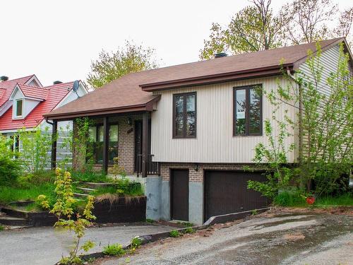 Stationnement - 219 Rue Guénette, Sainte-Anne-Des-Plaines, QC - Outdoor