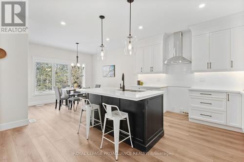 444 Hillside Drive, Trent Hills (Campbellford), ON - Indoor Photo Showing Kitchen With Upgraded Kitchen