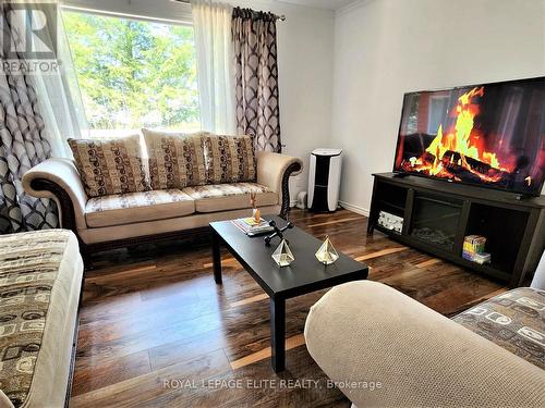 354 Neville Point Road, Stone Mills, ON - Indoor Photo Showing Living Room With Fireplace