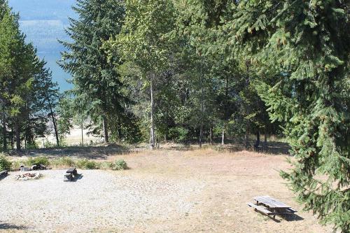 206 10Th Avenue Nw, Nakusp, BC - Outdoor With View