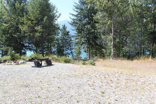 206 10Th Avenue Nw, Nakusp, BC - Outdoor