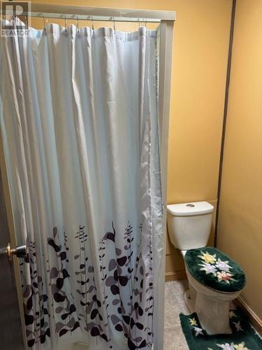 407 Centennial Drive, Mackenzie, BC - Indoor Photo Showing Bathroom