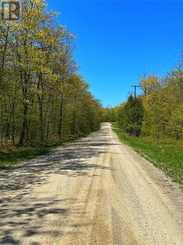 241 Maple Lane, Mindemoya, Manitoulin Island, ON - Outdoor With View