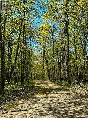 241 Maple Lane, Mindemoya, Manitoulin Island, ON - Outdoor With View