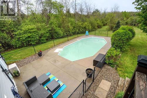 201 Colebrook Road, Stone Mills, ON - Outdoor With In Ground Pool With Backyard