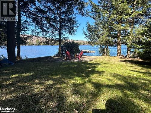 Large flat area perfect for summer games! - 1016 Pegg Drive, Haliburton, ON - Outdoor With Body Of Water With View
