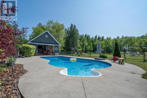 1976 Shelter Valley Road, Alnwick/Haldimand, ON - Outdoor With In Ground Pool With Backyard