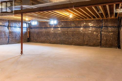 209 Flavelle Way, Peterborough, ON - Indoor Photo Showing Basement