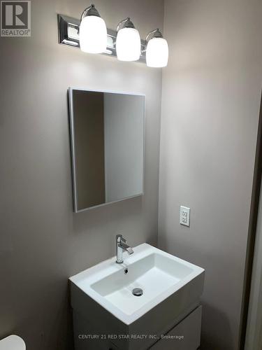 311 - 7 Erie Avenue, Brantford, ON - Indoor Photo Showing Bathroom