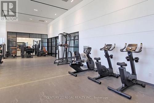 310 - 50 George Butchart Drive, Toronto, ON - Indoor Photo Showing Gym Room