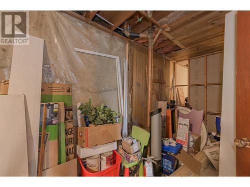 101 Mann Road, Sicamous, BC - Indoor Photo Showing Basement