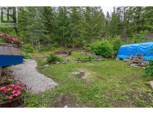 101 Mann Road, Sicamous, BC - Outdoor With Backyard