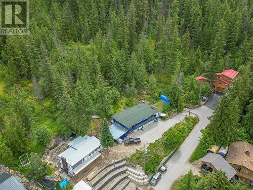 101 Mann Road, Sicamous, BC - Outdoor With View