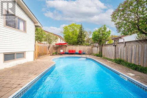 16 Shannon Court, Whitby, ON - Outdoor With In Ground Pool With Backyard