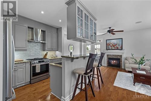 226 Horseshoe Crescent, Ottawa, ON - Indoor Photo Showing Kitchen With Upgraded Kitchen