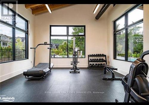 218 Yellow Birch Crescent, Blue Mountains, ON - Indoor Photo Showing Gym Room