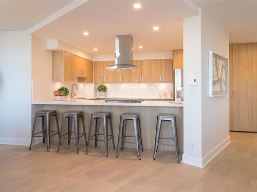 807-225 Belleville St, Victoria, BC - Indoor Photo Showing Kitchen