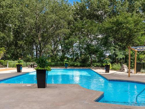 Pool - 606-200 Av. Des Sommets, Montréal (Verdun/Île-Des-Soeurs), QC - Outdoor With In Ground Pool With Backyard