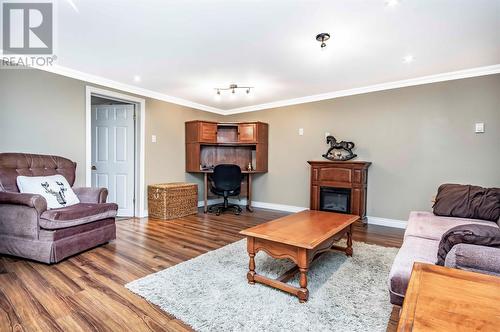 55 Farrell Drive, Mount Pearl, NL - Indoor Photo Showing Living Room