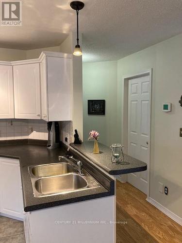 389 Walnut Street, Collingwood, ON - Indoor Photo Showing Kitchen With Double Sink