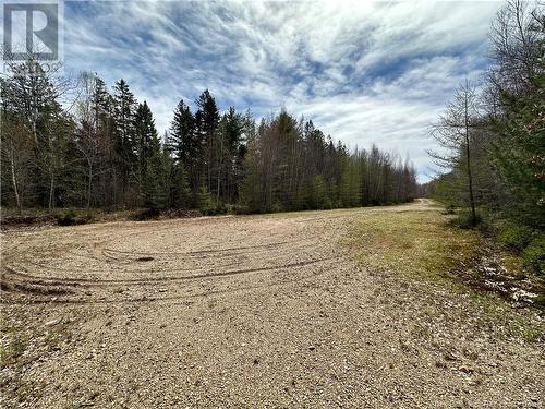 Lot 23-1 Country Shore Lane, Codys, NB 