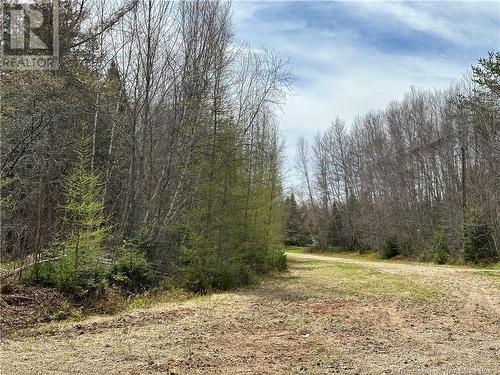 Lot 23-1 Country Shore Lane, Codys, NB 