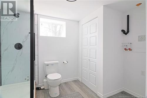 203 Main Street, Minto, NB - Indoor Photo Showing Bathroom